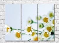 Pictură Rainbow Flowers and buds of daisies on a light background (500820)