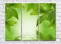Pictură Rainbow Green foliage above water (500304)