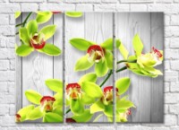 Pictură Rainbow Green orchid flowers on gray plank background (500318)