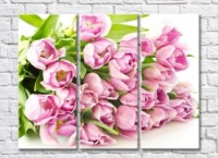 Pictură Rainbow Huge bouquet of pink tulips (500477)