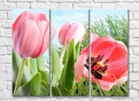 Pictură Rainbow Huge flowers of pink tulips on a background of grass (500472)