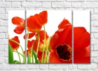 Pictură Rainbow Huge red tulip flower on the background of a bouquet (500470)