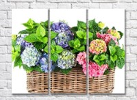 Картина Rainbow Hydrangea flowers in a basket (500818)
