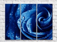 Pictură Rainbow Large blue rose petals with dew drops (500377)