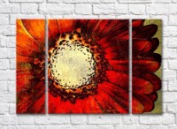 Pictură Rainbow Large burgundy gerbera flower drawing (500406)