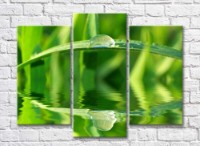 Pictură Rainbow Large dew drop on a blade of grass above the water (500370)