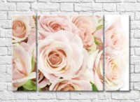 Pictură Rainbow Large flowers of cream roses (500401)