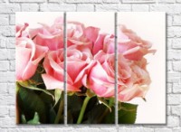 Pictură Rainbow Large flowers of pink roses (500394)