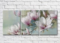 Pictură Rainbow Large pink magnolia flowers (3572580)