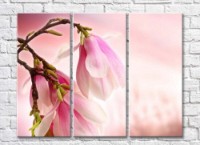 Pictură Rainbow Large pink magnolia flowers on a branch (500391)