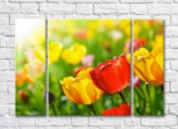 Pictură Rainbow Large tulips against the background of a multi-colored flower field (500380)