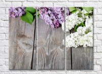 Картина Rainbow Lilac flowers and leaves on a plank background (500821)