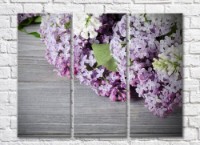 Картина Rainbow Lilac flowers on a Gray background (500831)