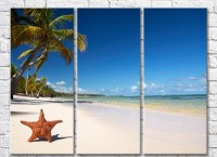 Pictură Rainbow On the beach with palm trees starfish (3469159)