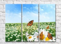 Pictură Rainbow Orange butterflies against a camomile field (500486)