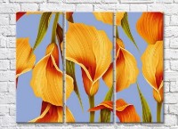 Pictură Rainbow Orange calla lilies against the sky (3448904)