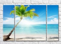 Pictură Rainbow Palm tree alone on the beach against the background of the sea (3469169)