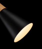 Lustră Lampardi Scandiv LP5016-1P imaginea #3 — magazin online Desire.md