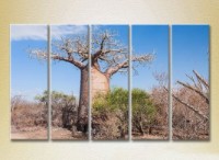 Pictură Rainbow Polyptych Baobab 01 (2224802)