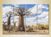 Картина Rainbow Polyptych Baobabs in the Savannah 02 (2223670)