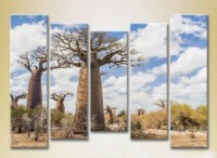 Pictură Rainbow Polyptych Baobabs in the Savannah 03 (2224823)