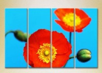 Pictură Rainbow Polyptych Blooming Poppy (2932343)