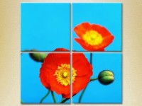 Pictură Rainbow Polyptych Blooming Poppy 01 (2932365)