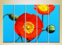 Pictură Rainbow Polyptych Blooming Poppy 02 (2932904)