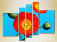 Pictură Rainbow Polyptych Blooming Poppy 03 (2932869)