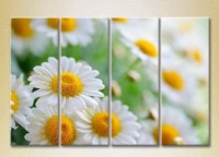 Pictură Rainbow Polyptych Bouquet of daisies (2932270)