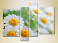 Pictură Rainbow Polyptych Bouquet of daisies 01 (2932271)
