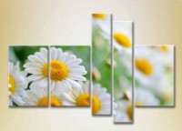 Pictură Rainbow Polyptych Bouquet of daisies 03 (2932798)