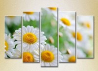 Pictură Rainbow Polyptych Bouquet of daisies 04 (2932799)