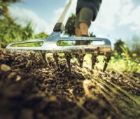 Грабли Fiskars 1027038 фото №2 — интернет-магазин Desire.md