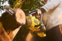 Цепная пила аккумуляторная Ryobi RY36CSX35A-150 фото №3 — интернет-магазин Desire.md