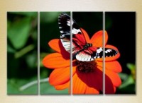 Pictură Rainbow Polyptych Butterfly on a flower 01 (2222242)