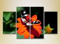 Pictură Rainbow Polyptych Butterfly on a Flower 03 (2222237)