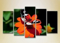 Pictură Rainbow Polyptych Butterfly on a Flower 05 (2224642)