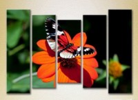 Pictură Rainbow Polyptych Butterfly on a flower 06 (2224632)