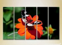 Pictură Rainbow Polyptych Butterfly on a Flower 07 (2224644)