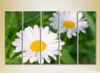 Pictură Rainbow Polyptych Chamomile 03 (2932880)