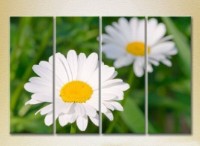 Pictură Rainbow Polyptych Chamomile 04 (2932354)