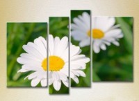 Pictură Rainbow Polyptych Chamomile 06 (2932355)