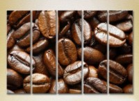 Картина Rainbow Polyptych Coffee Beans 08 (2224572)