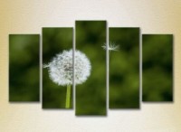 Pictură Rainbow Polyptych Dandelion 01 (2932845)