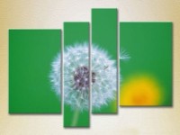 Pictură Rainbow Polyptych Dandelion on a green background (2932317)