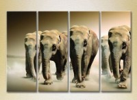 Pictură Rainbow Polyptych Elephant Family 01 (2222234)