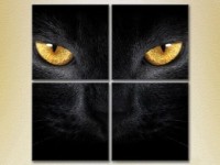 Pictură Rainbow Polyptych Eyes of a Black Cat 02 (2222220)