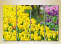 Pictură Rainbow Polyptych Field of yellow tulips 01 (2932334)