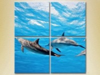 Pictură Rainbow Polyptych Flock of Dolphins (2222236)